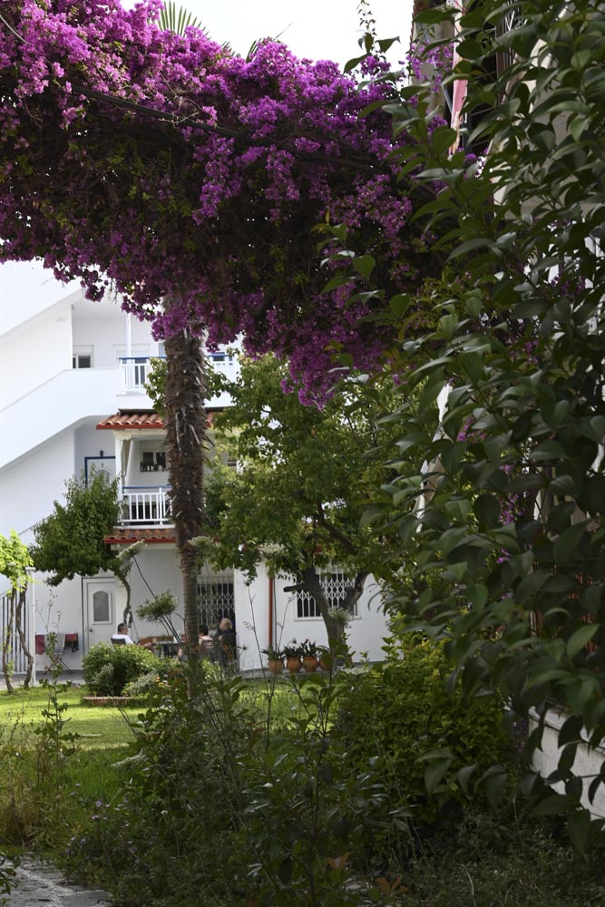 Villa Antonia today